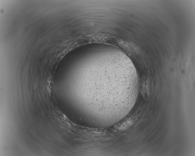 X0000083011010200702231807