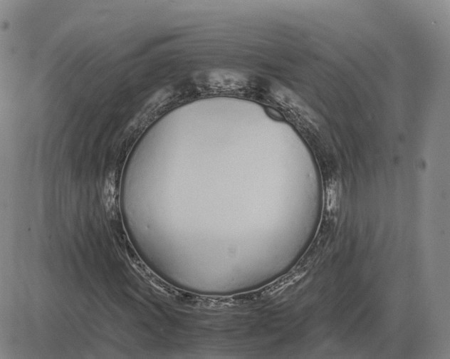 X0000083011011200702231807