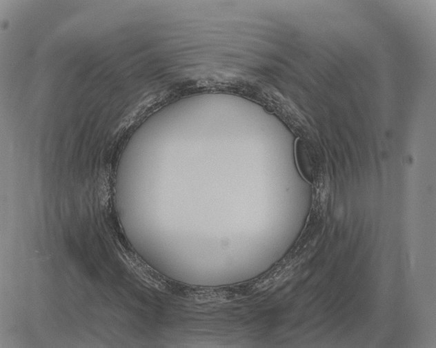 X0000083011012200702231807