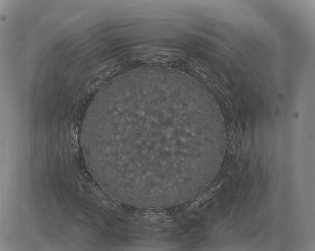 X0000083011013200702231807