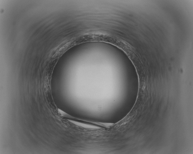 X0000083011014200702231807