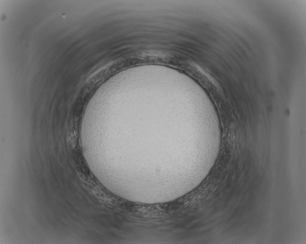 X0000083011015200702231807