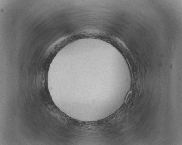 X0000083011016200702231807