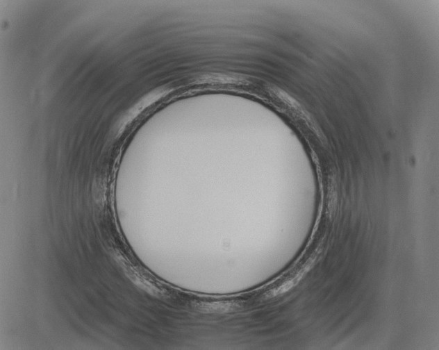 X0000083011017200702231807