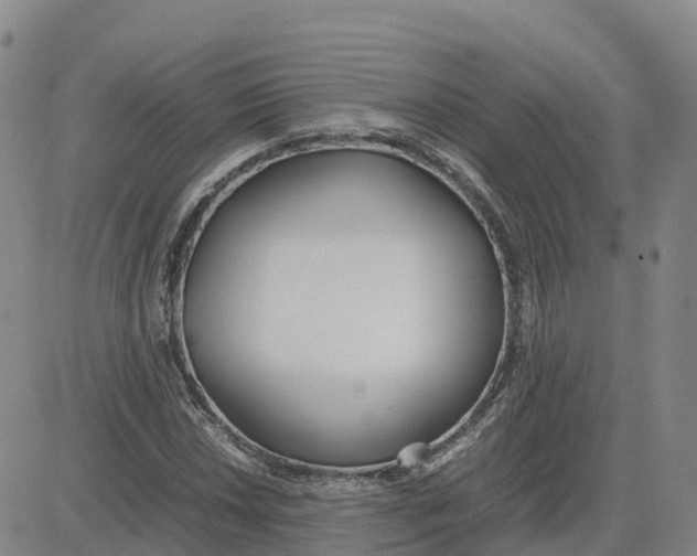 X0000083011018200702231807