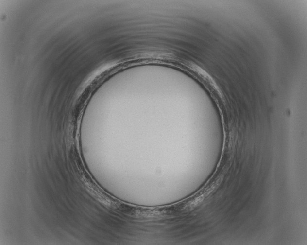 X0000083011019200702231807