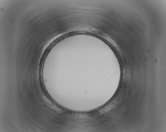 X0000083011020200702231807