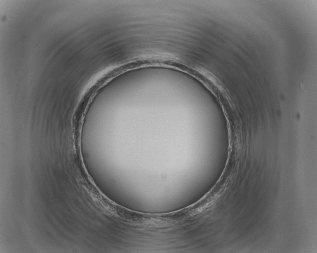 X0000083011022200702231807