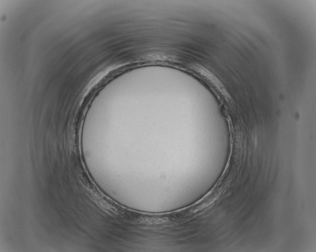 X0000083011023200702231807