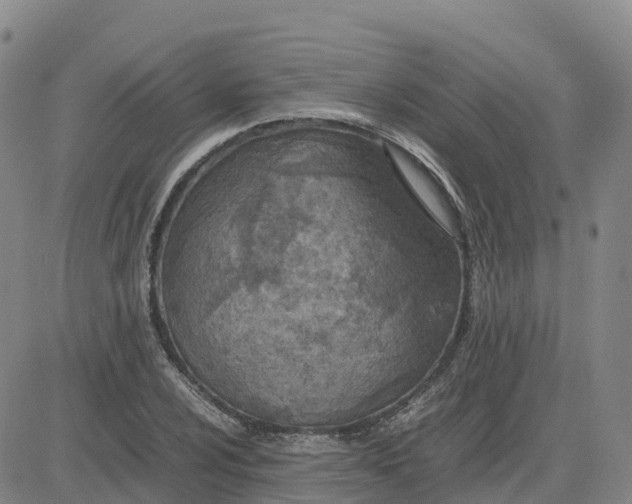 X0000083011024200702231807