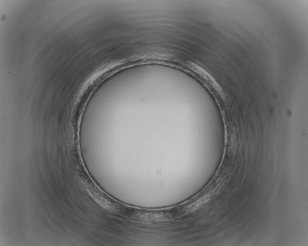 X0000083011027200702231807