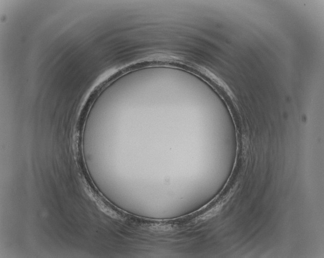 X0000083011029200702231807