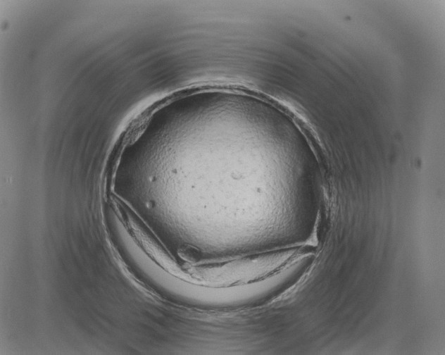 X0000083011030200702231807