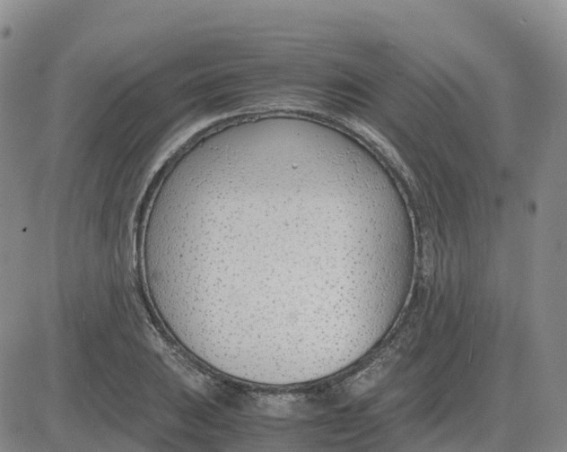 X0000083011031200702231807