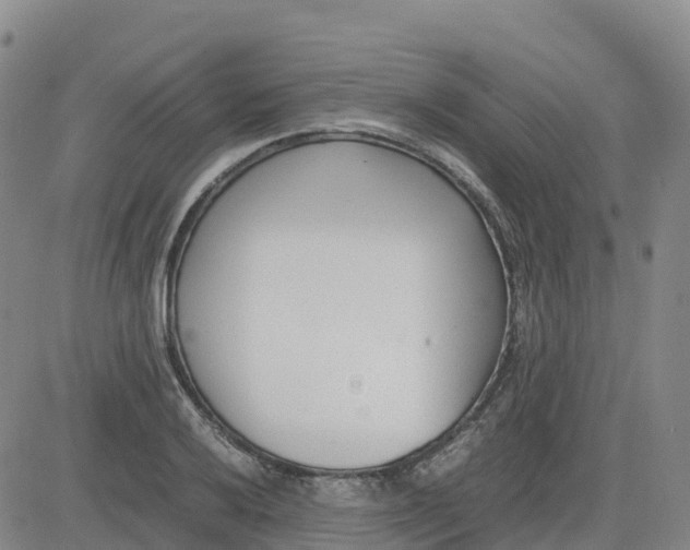 X0000083011032200702231807