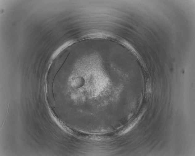 X0000083011034200702231807