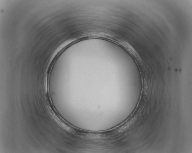 X0000083011036200702231807