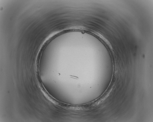 X0000083011037200702231807