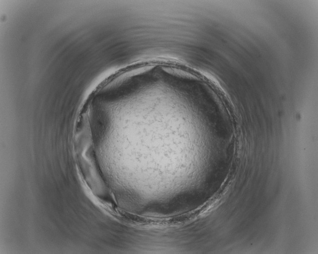 X0000083011038200702231807