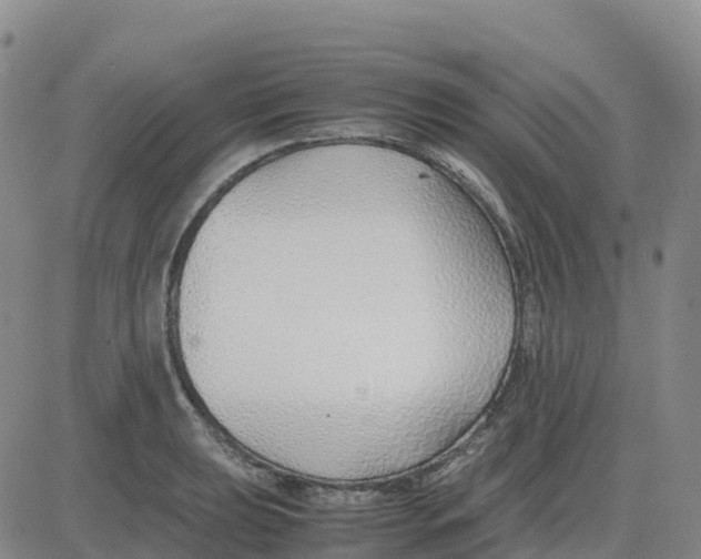 X0000083011039200702231807