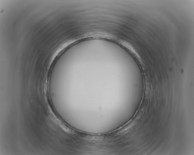 X0000083011040200702231807