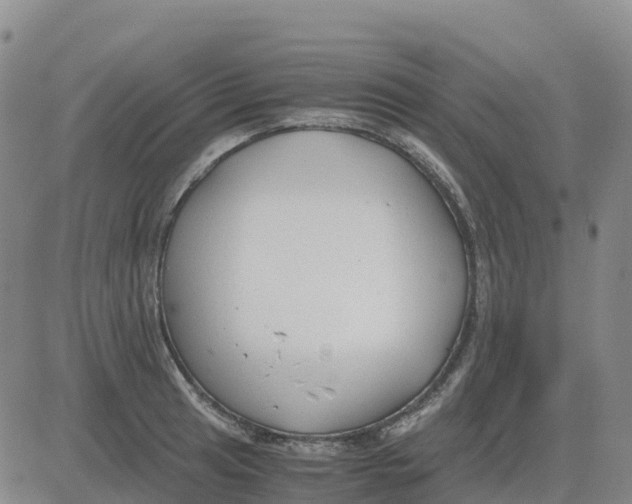 X0000083011041200702231807