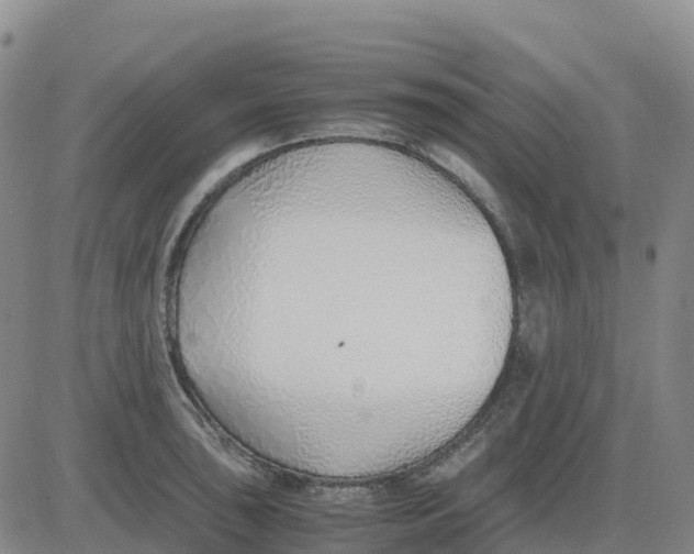 X0000083011043200702231807