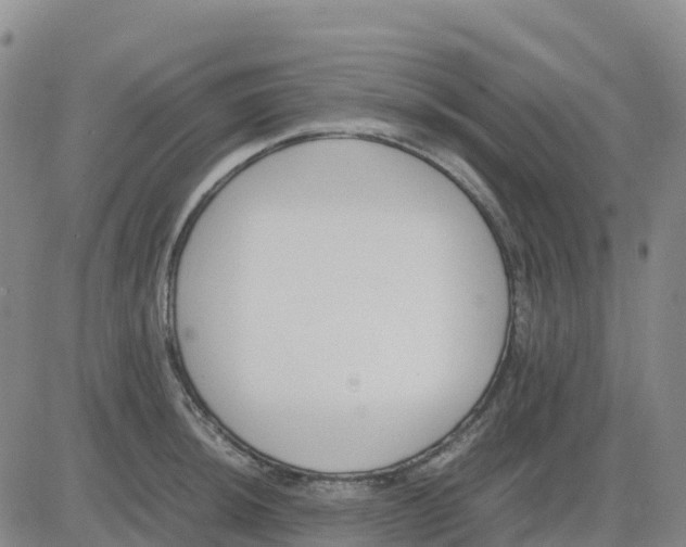 X0000083011044200702231807