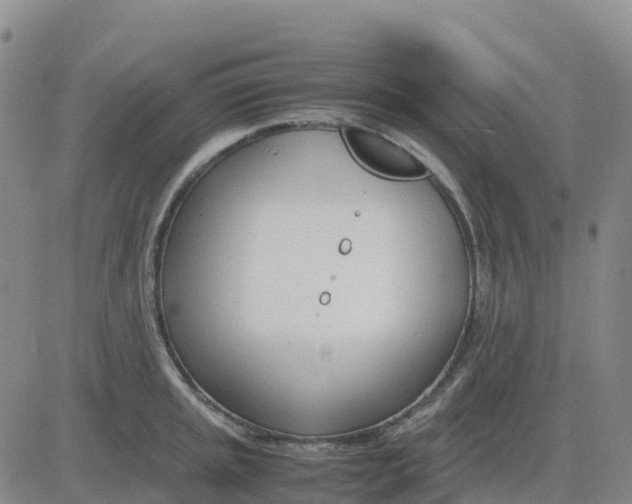 X0000083011045200702231807