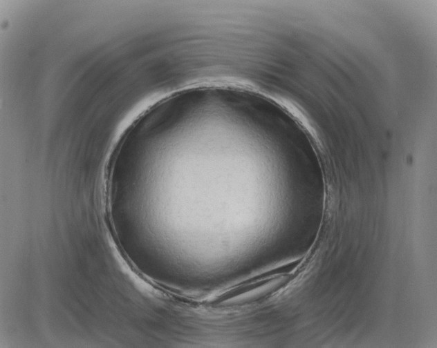 X0000083011046200702231807