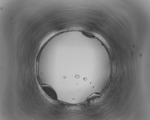 X0000083011047200702231807