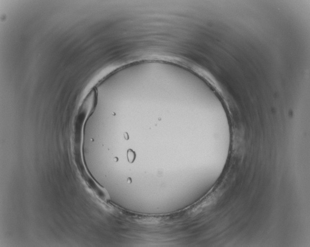 X0000083011048200702231807