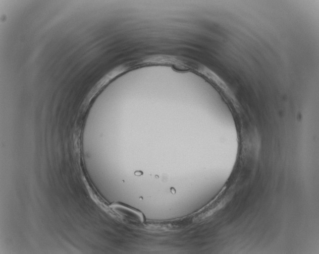 X0000083011049200702231807