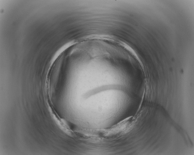 X0000083011050200702231807