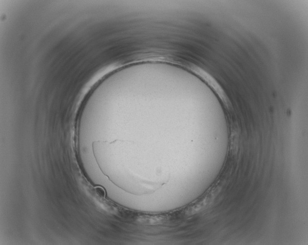 X0000083011051200702231807