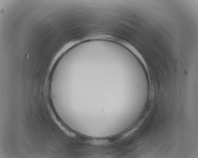 X0000083011053200702231807