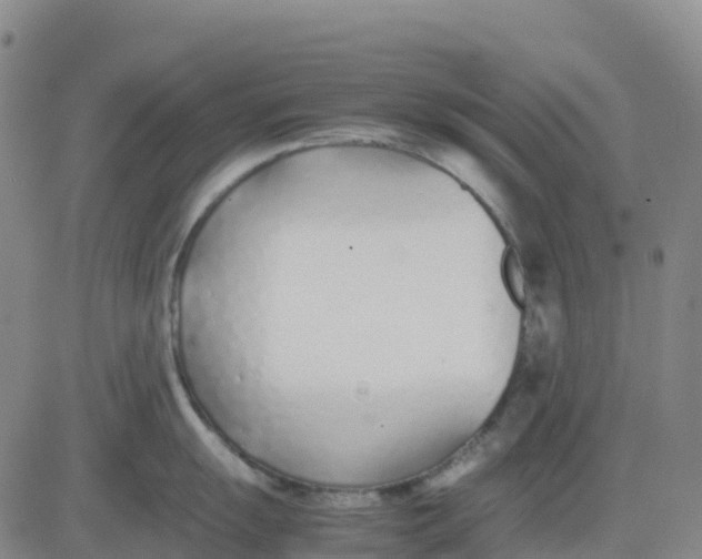 X0000083011055200702231807