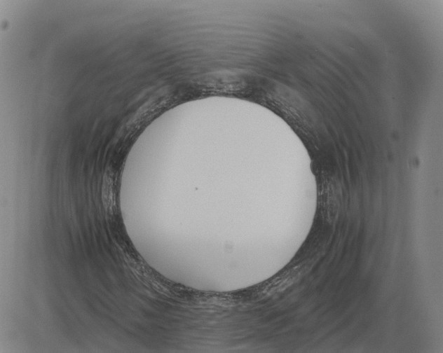 X0000083011058200702231807