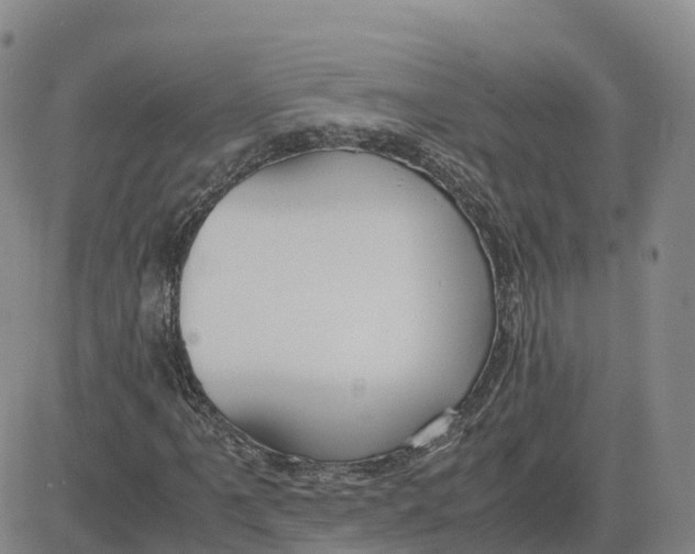 X0000083011061200702231806