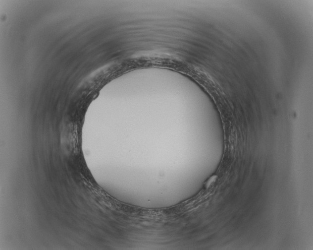 X0000083011062200702231806