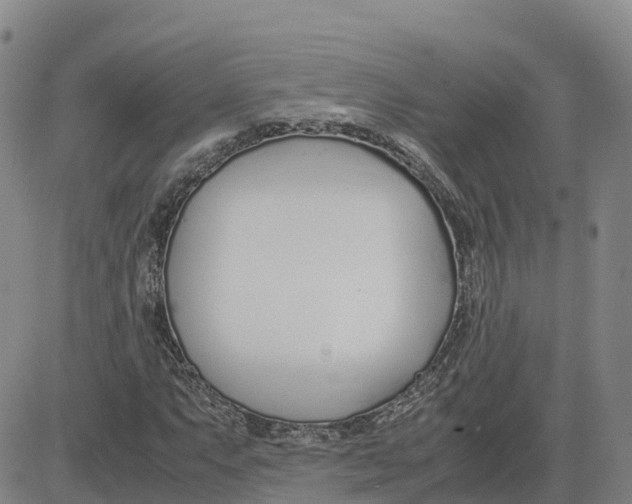 X0000083011063200702231806