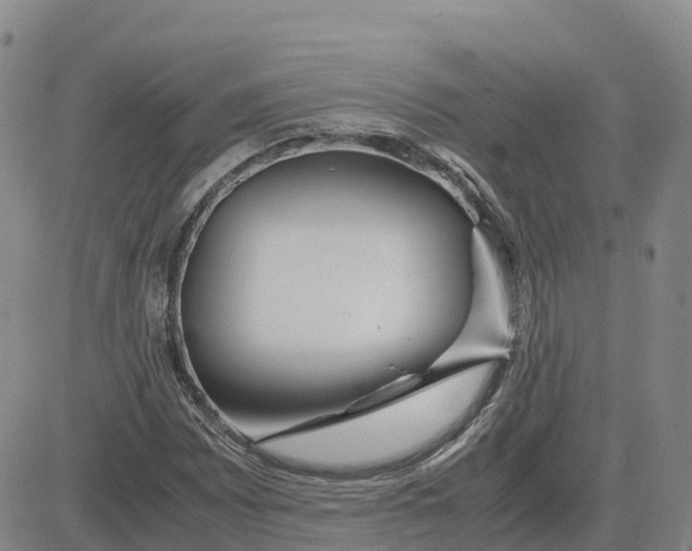 X0000083011065200702231806