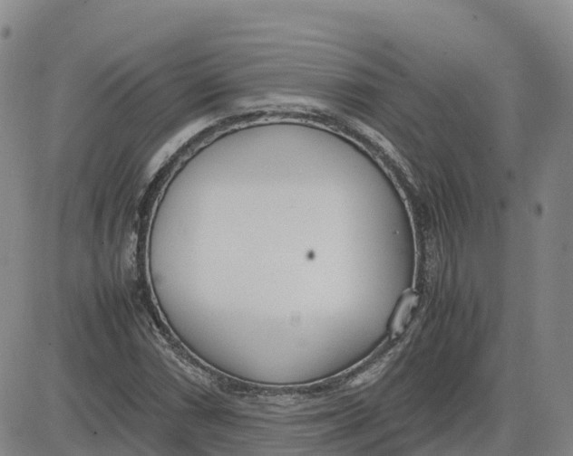 X0000083011066200702231806