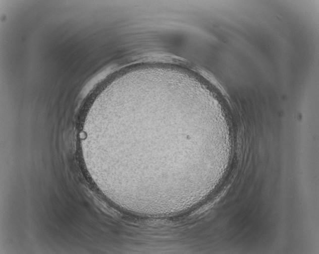 X0000083011067200702231806