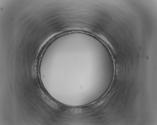 X0000083011068200702231806