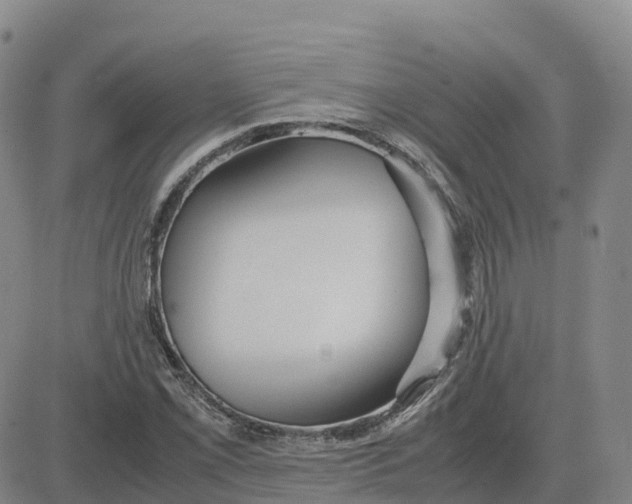 X0000083011069200702231806