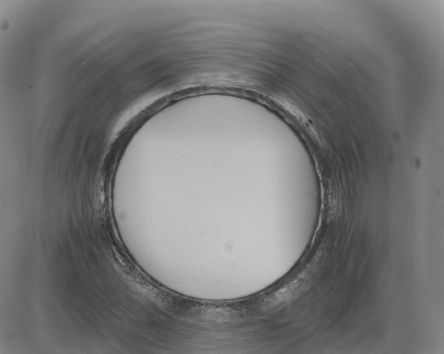 X0000083011070200702231806