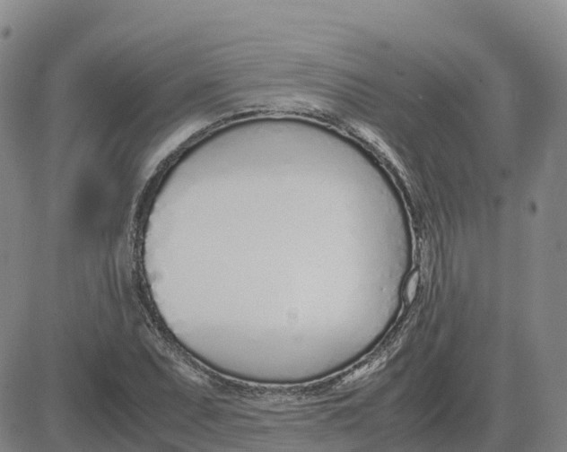 X0000083011071200702231806