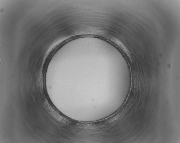 X0000083011072200702231806