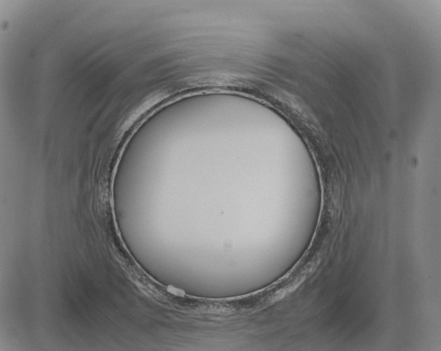 X0000083011073200702231806